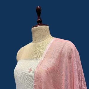 Ladies Suit (2 Piece)